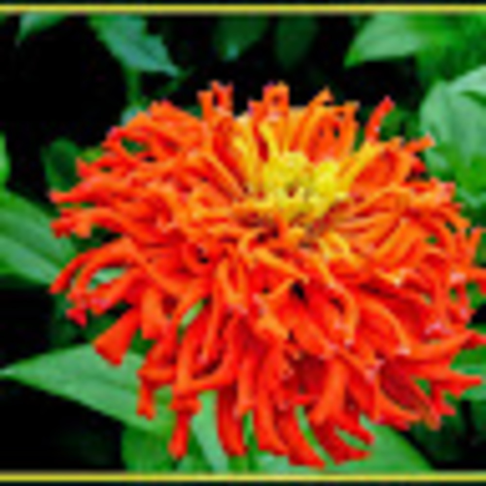 Meet your Posher, Deb